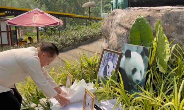 ครบ 1 ปี การจากไปของหมีแพนด้า “หลินฮุ่ย” ทูตสันถวไมตรีไทย-จีน