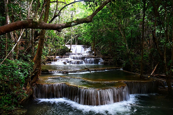 10 ลานกางเต็นท์ใกล้กรุงเทพ นอนชมดาวรับบรรยากาศดี