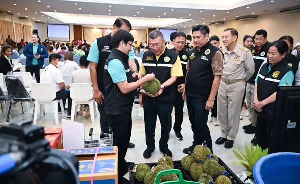 เกษตรฯเข้มหนุนส่งทุเรียน ไม่ปนเปื้อนสารเคมี