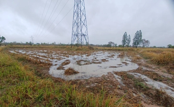 พายุฝนช่วยเติมน้ำตามทุ่งนา แต่อ่างลำตะคองยังวิกฤต