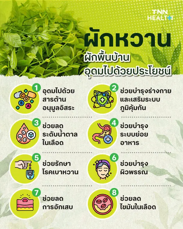 "ผักหวาน" ผักพื้นบ้าน ที่อุดมไปด้วยประโยชน์