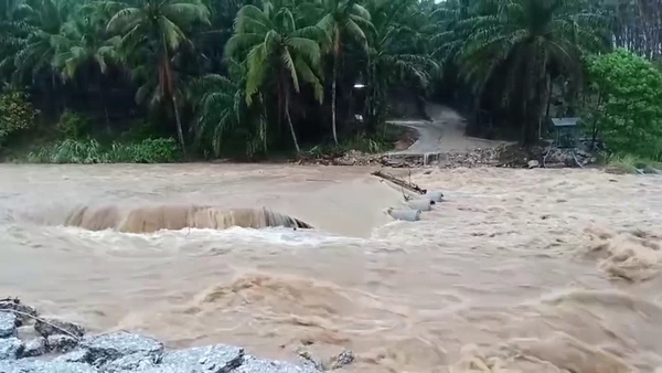 "สุราษฎร์ธานี" ฝนตกหนัก น้ำป่าหลากซัดฝายกันน้ำพังเสียหาย 