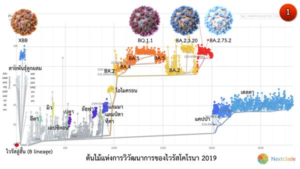 โควิดโอไมครอน XBB สายพันธุ์ลูกผสม คาดระบาดแทนที่ BA.5 สิ้นปีนี้หรือปี 2566