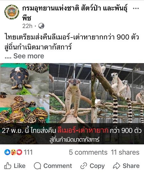 ไทยเตรียมส่งคืนลีเมอร์-เต่าหายากกว่า 900 ตัว สู่ถิ่นกำเนิดมาดากัสการ์