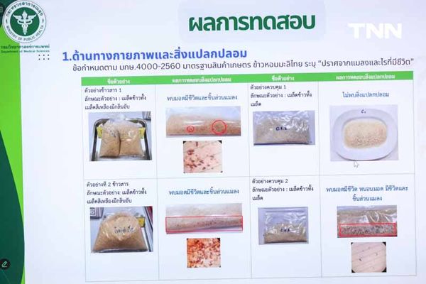 กรมวิทย์ฯ เผยผลตรวจข้าว 10 ปี ไม่พบสารพิษที่เป็นอันตราย - สารอาหารครบ