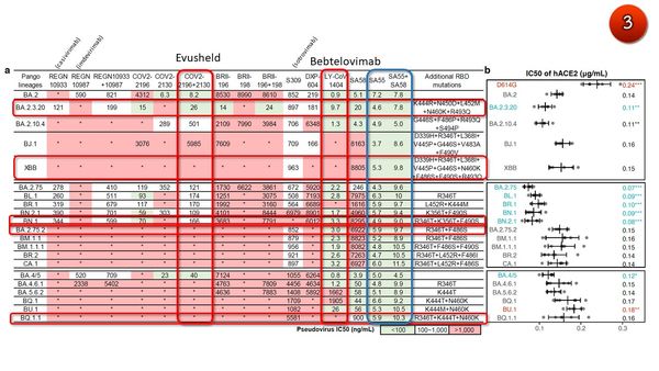 จับตา! พบ โอมิครอน BQ.1 ในไทยแล้ว 1 ราย แพร่เร็ว-หลบภูมิคุ้มกันเก่ง