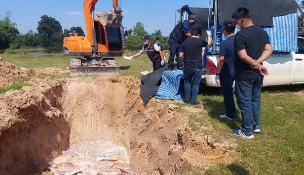 เกษตรกรจี้รัฐล้างบางหมูเถื่อน  แถมน้ำท่วมซ้ำ แทบหมดตัว