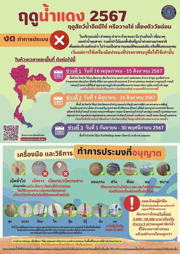 ฤดูน้ำแดง 2567 ห้ามจับสัตว์น้ำจืดมีไข่ เริ่ม 16 พ.ค. เช็กรายชื่อจังหวัดที่นี่