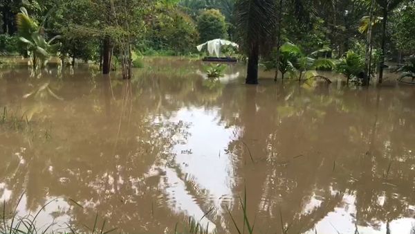 น้ำท่วมกระบี่ ฝนตกหนัก-น้ำหลาก เตือนประชาชนขนของขึ้นที่สูง 