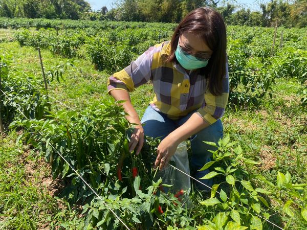 CPF ติดอาวุธ คู่ค้า SME เพิ่มขีดความสามารถจัดหาอาหารปลอดภัยได้มาตรฐานสากล