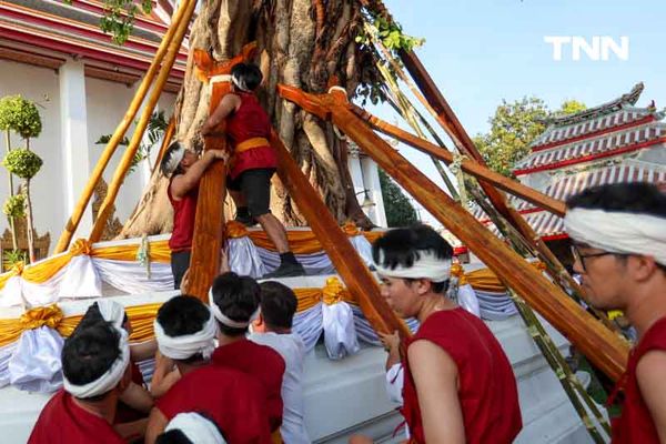 พิธีแห่ไม้คำโพธิ์หลวง เฉลิมพระเกียรติ เนื่องในพระราชพิธีสมมงคล 2568