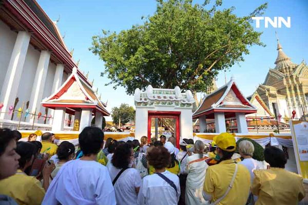 พิธีแห่ไม้คำโพธิ์หลวง เฉลิมพระเกียรติ เนื่องในพระราชพิธีสมมงคล 2568