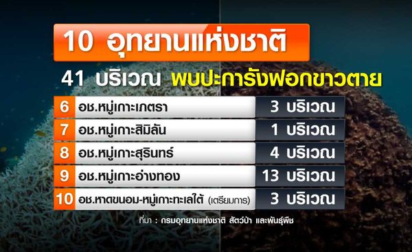 10 อุทยานฯ ปะการังฟอกขาวตาย ส.ค.-ก.ย. สิ้นสุดสถานการณ์ฟอกขาว ลุ้นจำนวนปะการังรอด-ตาย ?