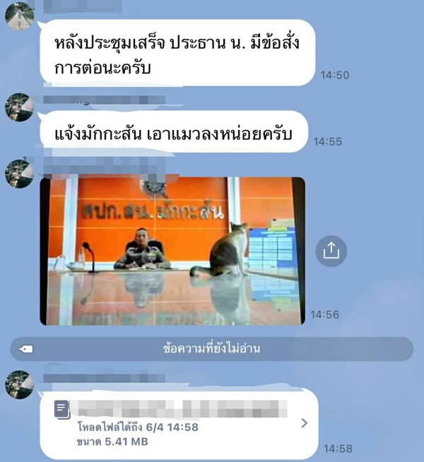  เอ็นดู! แมวป่วนประชุมตร. ต้องแจ้งด่วนเอาน้องลงด้วย