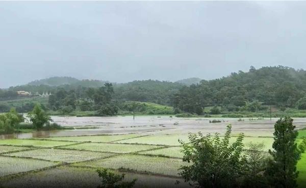 ระดับน้ำปายวิกฤตหลังฝนตกหนัก