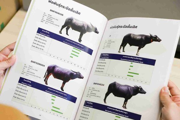 มูลนิธิเจริญโภคภัณฑ์  ร่วมกับมหาวิทยาลัยเกษตรศาสตร์ จัดทำหนังสือ “ความสามารถทางพันธุกรรมพ่อแม่พันธุ์กระบือ 2566