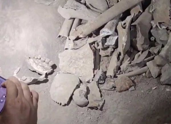 ฮือฮา! ขุดพบ กระดูกมนุษย์ ที่กระบี่ อายุราว 3,000 - 5,000 ปี