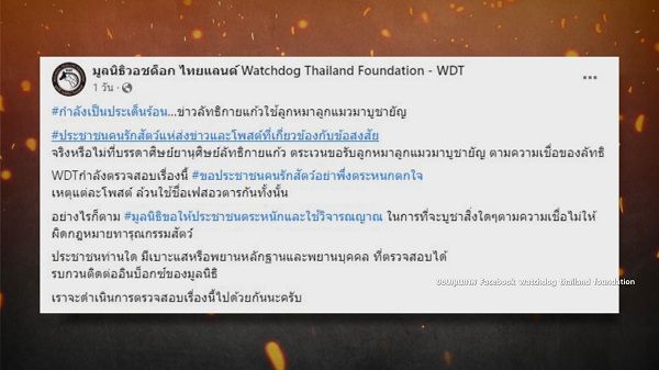 ดราม่า “ครูกายแก้ว”  - “เปิ้ล ไอริณ” แนะการศรัทธาตัวเองสำคัญสุด   (มีคลิป)