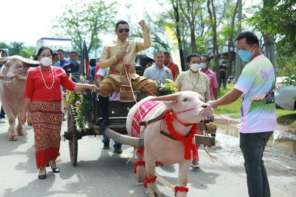 หนึ่ง บางปู แต่งงานกับอดีตสามี สินสอดเป็นพญาควาย 30 ล้าน! 