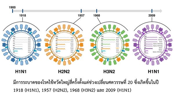 เตือน! ระวัง  ‘ไข้หวัดใหญ่ H3N2 สายพันธุ์อินเดีย’ แพร่ระบาด อาการรุนแรงถึงชีวิต