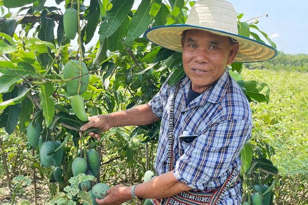 ปันน้ำปุ๋ยสู่เกษตรกร CPF ช่วยเกษตรกรก้าวผ่านวิกฤตภัยแล้ง 