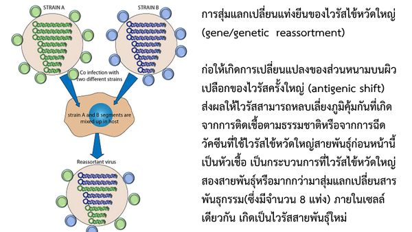 เตือน! ระวัง  ‘ไข้หวัดใหญ่ H3N2 สายพันธุ์อินเดีย’ แพร่ระบาด อาการรุนแรงถึงชีวิต