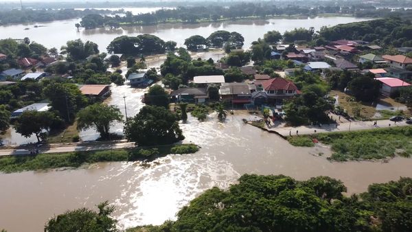 น้ำท่วมชัยนาท สุดระทึก ถนนคันคลองมหาราชขาด น้ำทะลักการจราจรอัมพาต