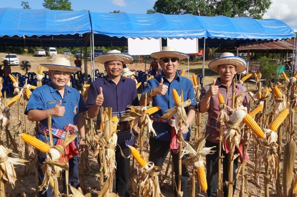 สถาบันปิดทองหลังพระฯ จับมือ “ราชการ-เอกชน” ลดความเสี่ยงให้เกษตรกร