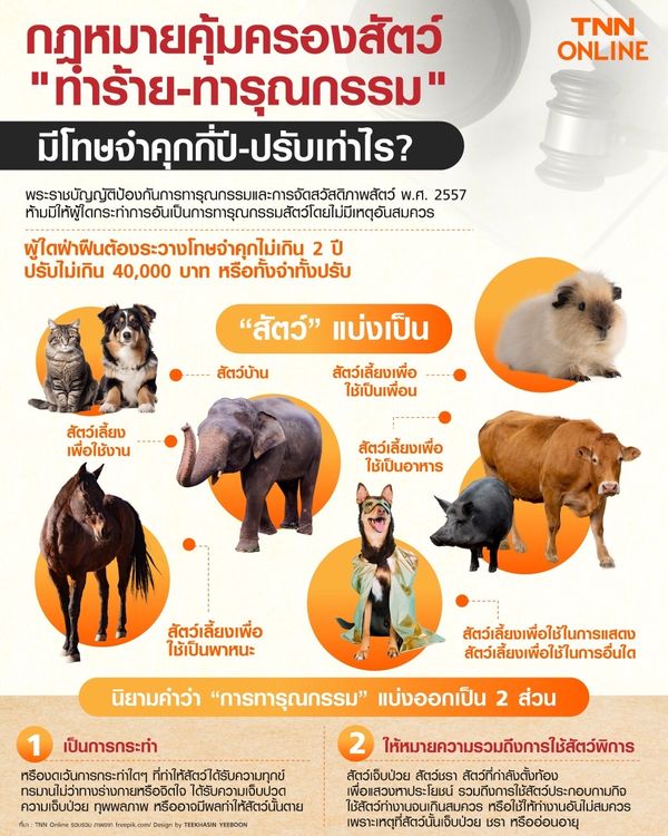 กฎหมายคุ้มครองสัตว์ ทำร้าย-ทารุณกรรม มีโทษจำคุกกี่ปี-ปรับเท่าไร?