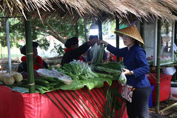 กาดต้มโป่ง ฮอมสุข จ.เชียงราย โมเดลการจัดตลาดสีเขียวในท้องถิ่น