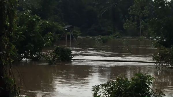 น้ำท่วมกระบี่ ฝนตกหนัก-น้ำหลาก เตือนประชาชนขนของขึ้นที่สูง 