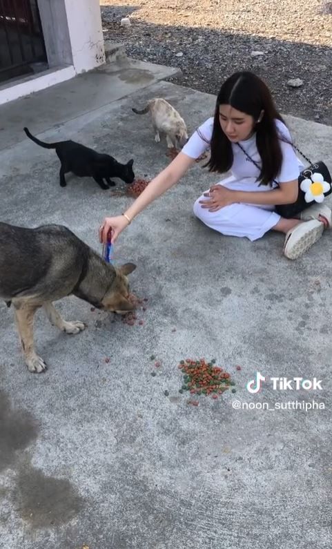ชาวเน็ตแซะ นุ่น สุทธิภา ลงคลิปให้อาหารสุนัข