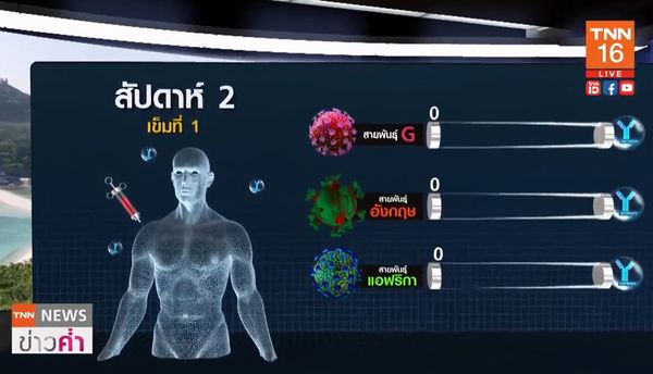 ฉีดวัคซีนโควิดนานแค่ไหน? จะมี ภูมิคุ้มกัน