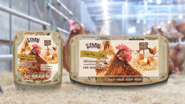 ไข่ไก่ Cage Free ยูฟาร์ม รับ “ฉลากคาร์บอนนิวทรัล” เป็นรายแรกของภูมิภาคเอเชีย