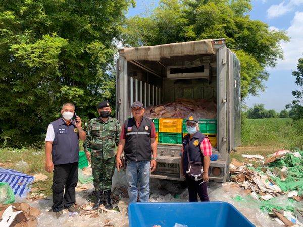 กรมศุลกากร ไม่ขยับ หมูเถื่อนไม่ขยาด ตัดลมหายใจเกษตรกรไทย