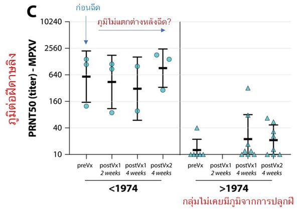 ภูมิคุ้มกันจากการ ปลูกฝี ในอดีต ยังป้องกันไวรัส ฝีดาษลิง ได้อยู่หรือไม่?