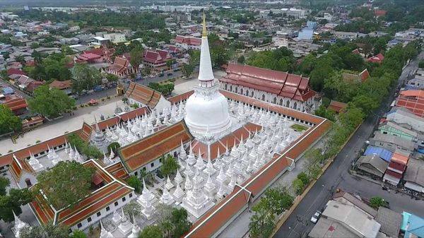 ต้นโพธิ์โผล่งอกใต้ปลียอดทองคำองค์พระบรมธาตุเจดีย์นครศรีฯ