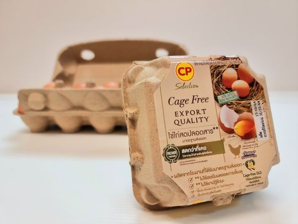 CPF มุ่งมั่นเพิ่มการผลิตไข่ไก่ Cage Free ปีละ 30%