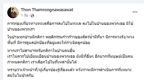 รู้จัก ปลาวัวไททัน หรือ ปลาวัวอำมหิต สัตว์ที่ถูกนักดำน้ำฆ่าตาย 