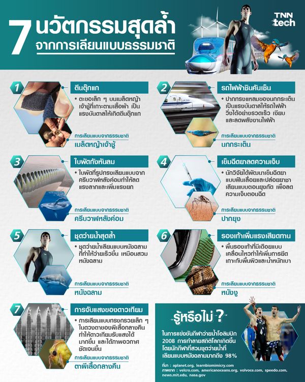 7 นวัตกรรมสุดล้ำที่ได้จากการเลียนแบบธรรมชาติ