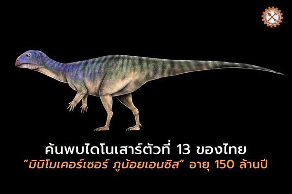 ค้นพบไดโนเสาร์ตัวที่ 13 ของไทย มินิโมเคอร์เซอร์ ภูน้อยเอนซิส 