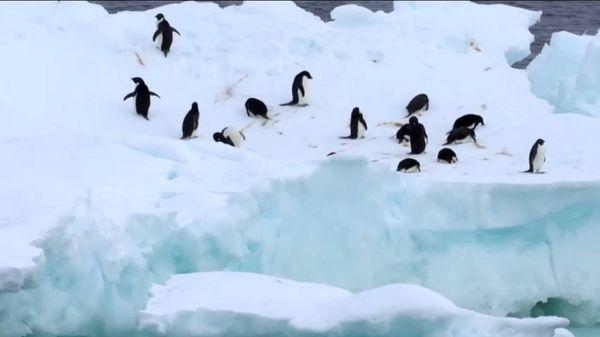 “Climate change”ป่วนโลก สถิติใหม่ “น้ำแข็งขั้วโลกใต้” ต่ำแบบสุดขั้ว    