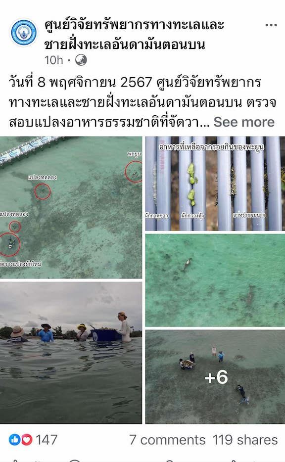 สำเร็จ ! พะยูนหลังขาว หาดราไวย์ ยอมกินผักอาหารเสริมทดแทนหญ้าทะเลแล้ว