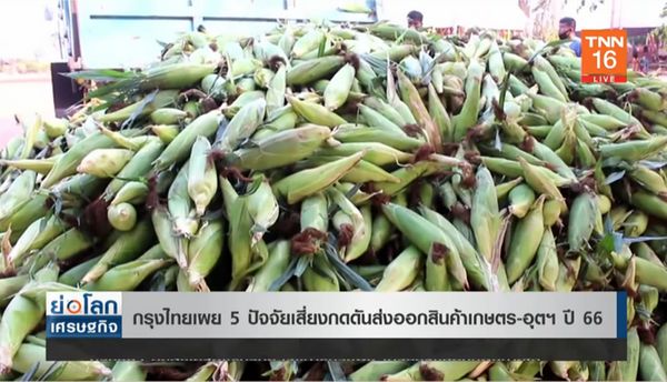 เผย 5 ปัจจัยเสี่ยง! กดดันส่งออกสินค้าเกษตร-อุตฯเกษตร ปี 66 