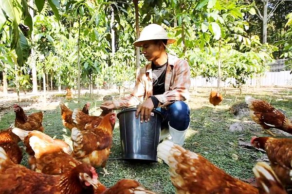 “หมู่บ้านเกษตรกรรมหนองหว้า” ต้อนรับหน่วยงานภาครัฐเยี่ยมชมความสำเร็จด้านการบริหารจัดการองค์กร