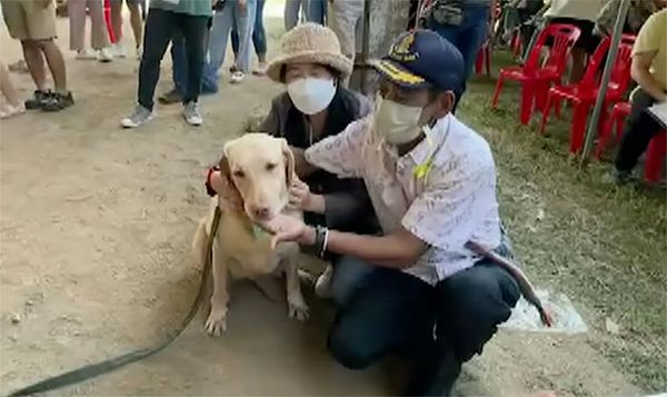 โคราชคึกคักประมูล ‘สุนัขทหารสอบตก’ นำไปเป็นสัตว์เลี้ยง ราคาสูงสุดเกือบแสน