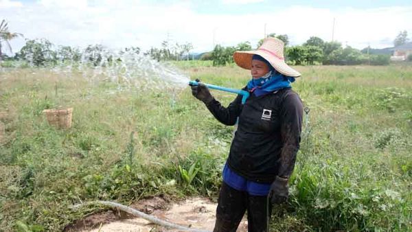 ศึกษาดูงานการจัดการน้ำบาดาล สู่การใช้ด้านเพาะปลูกผ่านโครงการชั่งหัวมัน ตามพระราชดำริ