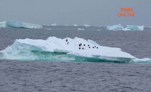 อุณหภูมิโลกไต่ระดับร้อนสูงเกินเกณฑ์ จ่อเพิ่มแตะ 2°C โลกเตรียมรับอากาศรุนแรงสุดขั้ว