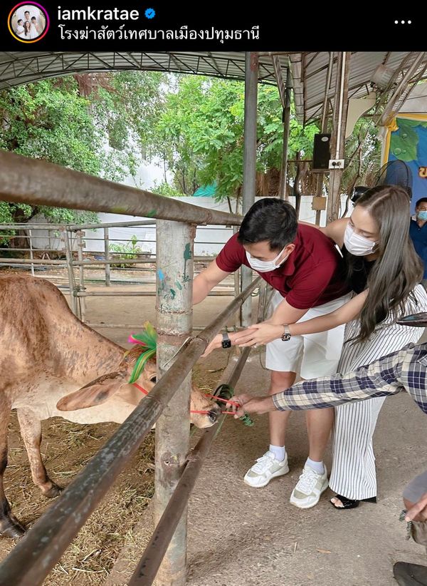 หนิง ปณิตา แจ้งให้ติดตาม tiktok ชื่อใหม่ หลังปลิวไปแล้ว พร้อมทำบุญไถ่ชีวิตโค 1 ตัว 