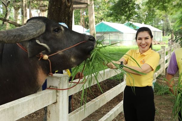 เครือเจริญโภคภัณฑ์ ส่งเสริมผู้บริหารและพนักงานเป็นจิตอาสาพระราชทานในหลวงรัชกาลที่ 10